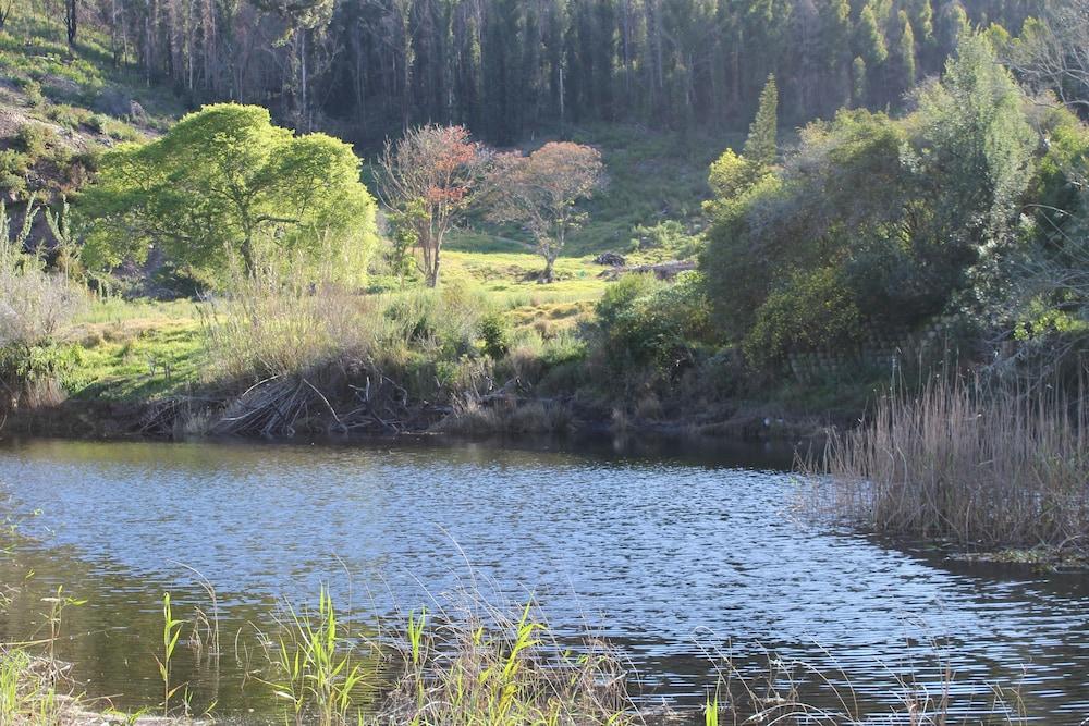 Blackwaters River Lodge, Knysna Zewnętrze zdjęcie